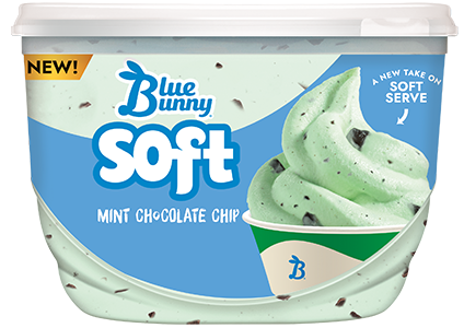 Soft Mint Chocolate Chip Front View Package