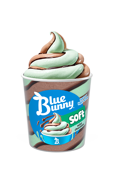 Soft Pints  Mint Chocolate Out of Package