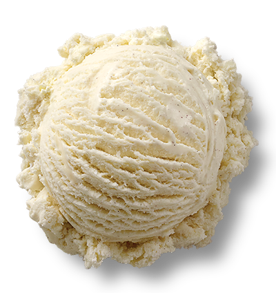 Vanilla Bean Scoop