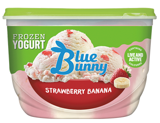 Strawberry Banana Frozen Yogurt