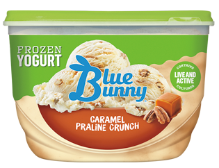 Caramel Praline Crunch Frozen Yogurt