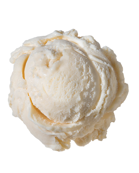 Vanilla Frozen Yogurt - Wells Foodservice