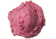 Wildberry Sorbet