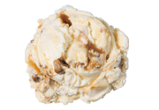 Praline Pecan Premium Ice Cream