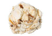 Praline Pecan  Premium Ice Cream