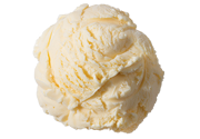 Homemade Vanilla Premium Ice Cream