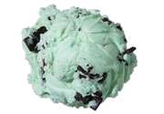 Mint Chocolate Chip  Premium Ice Cream