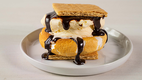 S’mores Ice Cream Sandwich Kit