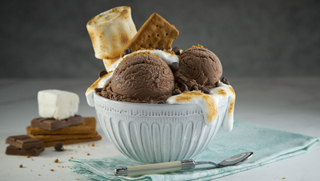 S'more, Please Sundae - Single Serve